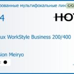 Тонированная мультифокальная линза для очков Hoya Hoyalux WorkStyle Business 200/400 1.74 Color Hi-Vision Meiryo, рецептурная, Sph 8.00 — -13.00, Cyl 0.00 — 6.00