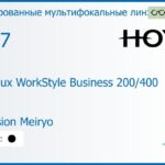 Тонированная мультифокальная линза для очков Hoya Hoyalux WorkStyle Business 200/400 1.67 Color Hi-Vision Meiryo, рецептурная, Sph 8.00 — -12.00, Cyl 0.00 — 6.00